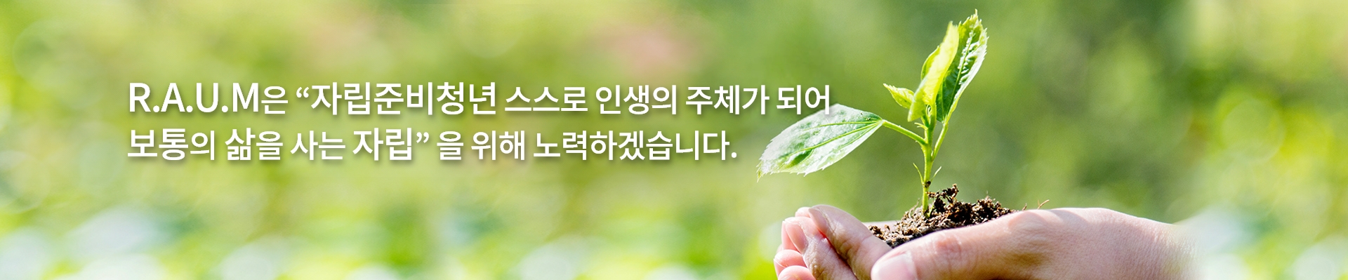 비주얼이미지1
